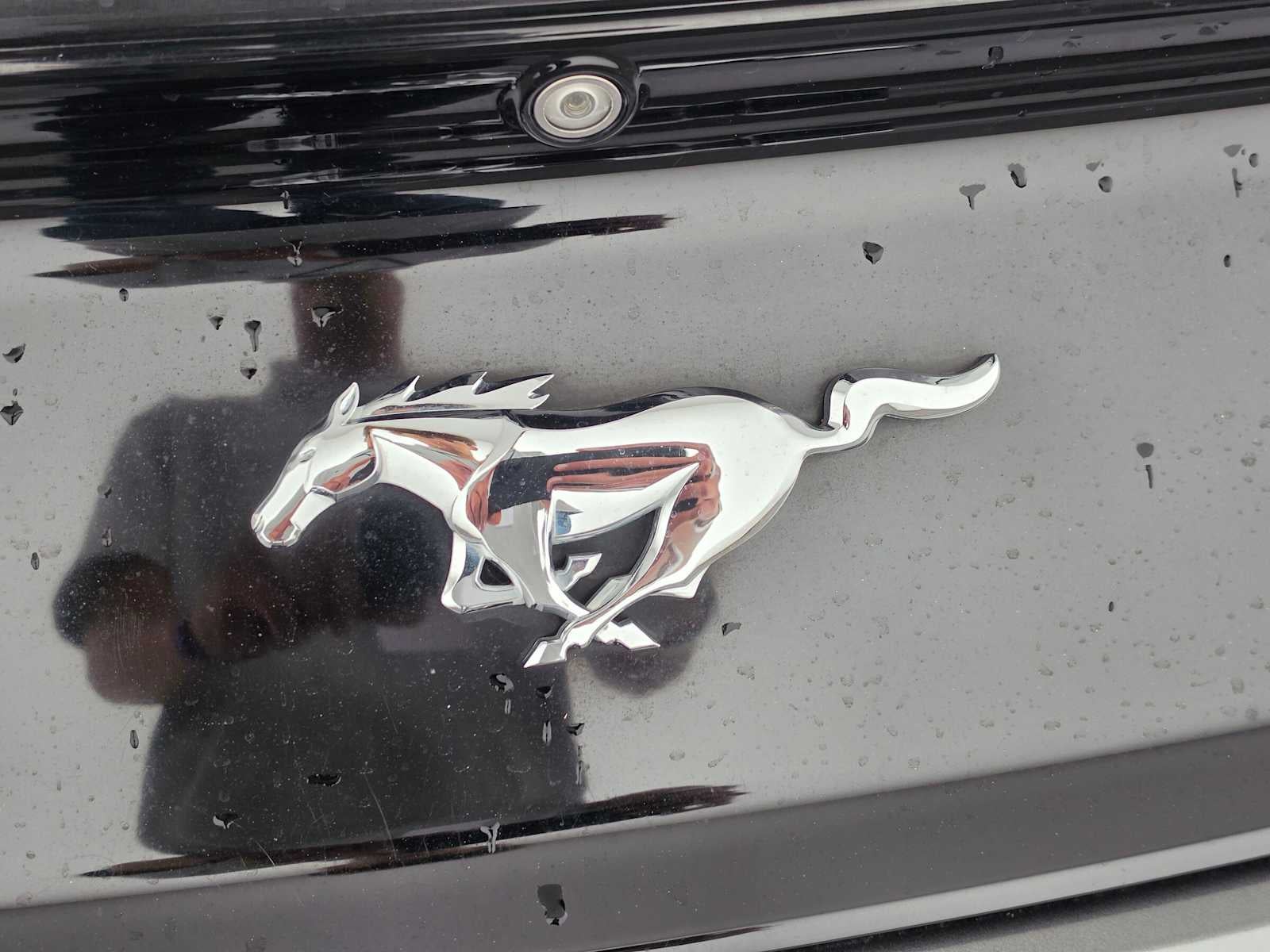 2017 Ford Mustang EcoBoost