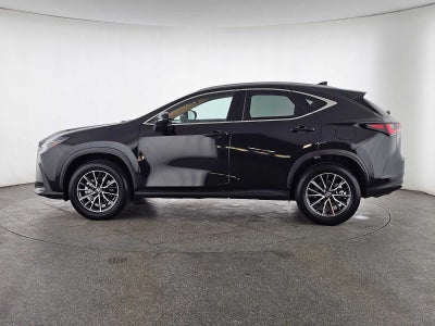 2024 Lexus NX 350 NX 350