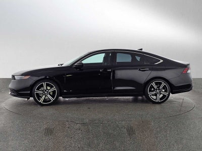 2024 Honda Accord Sport