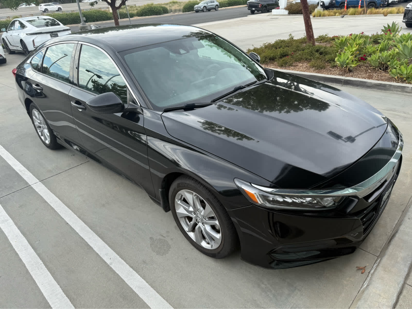 2019 Honda Accord Sedan LX 1.5T