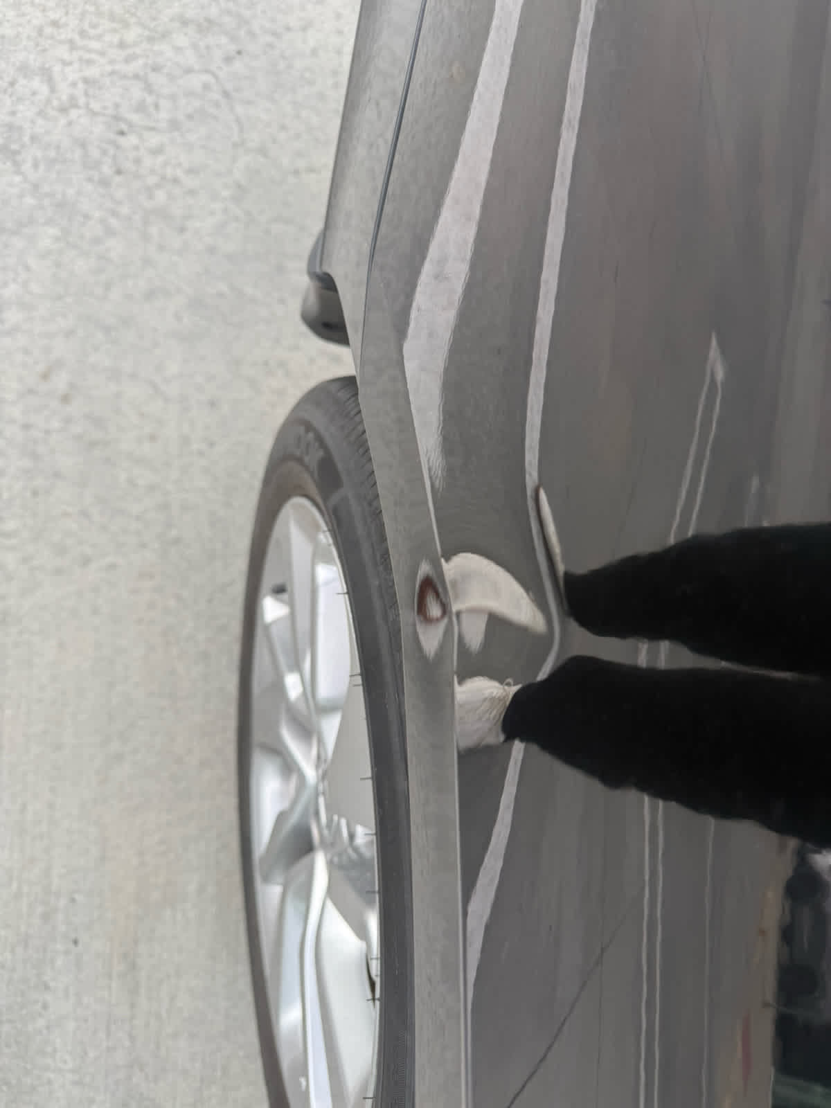 2019 Honda Accord Sedan LX 1.5T