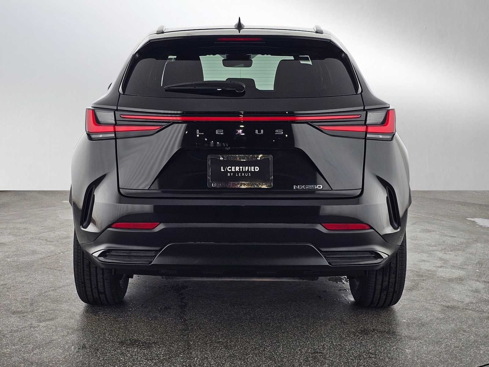 2024 Lexus NX NX 250