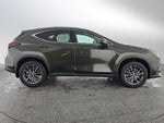 2025 Lexus NX Premium