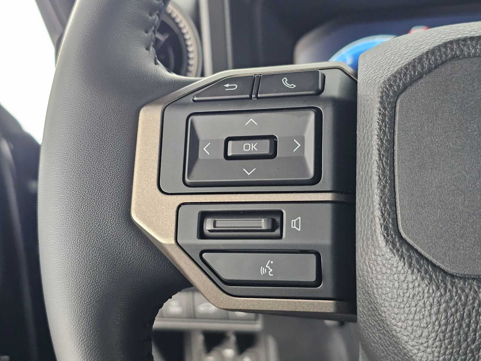 2025 Toyota Land Cruiser 4WD (Natl)