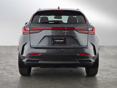 2024 Lexus NX 250 NX 250