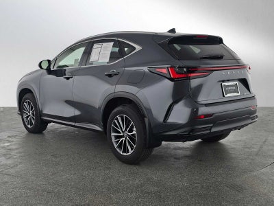 2024 Lexus NX 250 NX 250