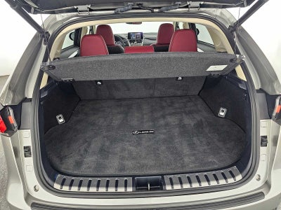 2021 Lexus NX 300h NX 300h