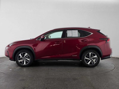 2020 Lexus NX 300h NX 300h