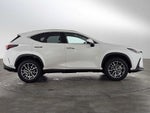 2025 Lexus NX Premium