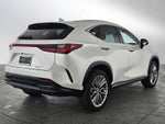 2025 Lexus NX Luxury