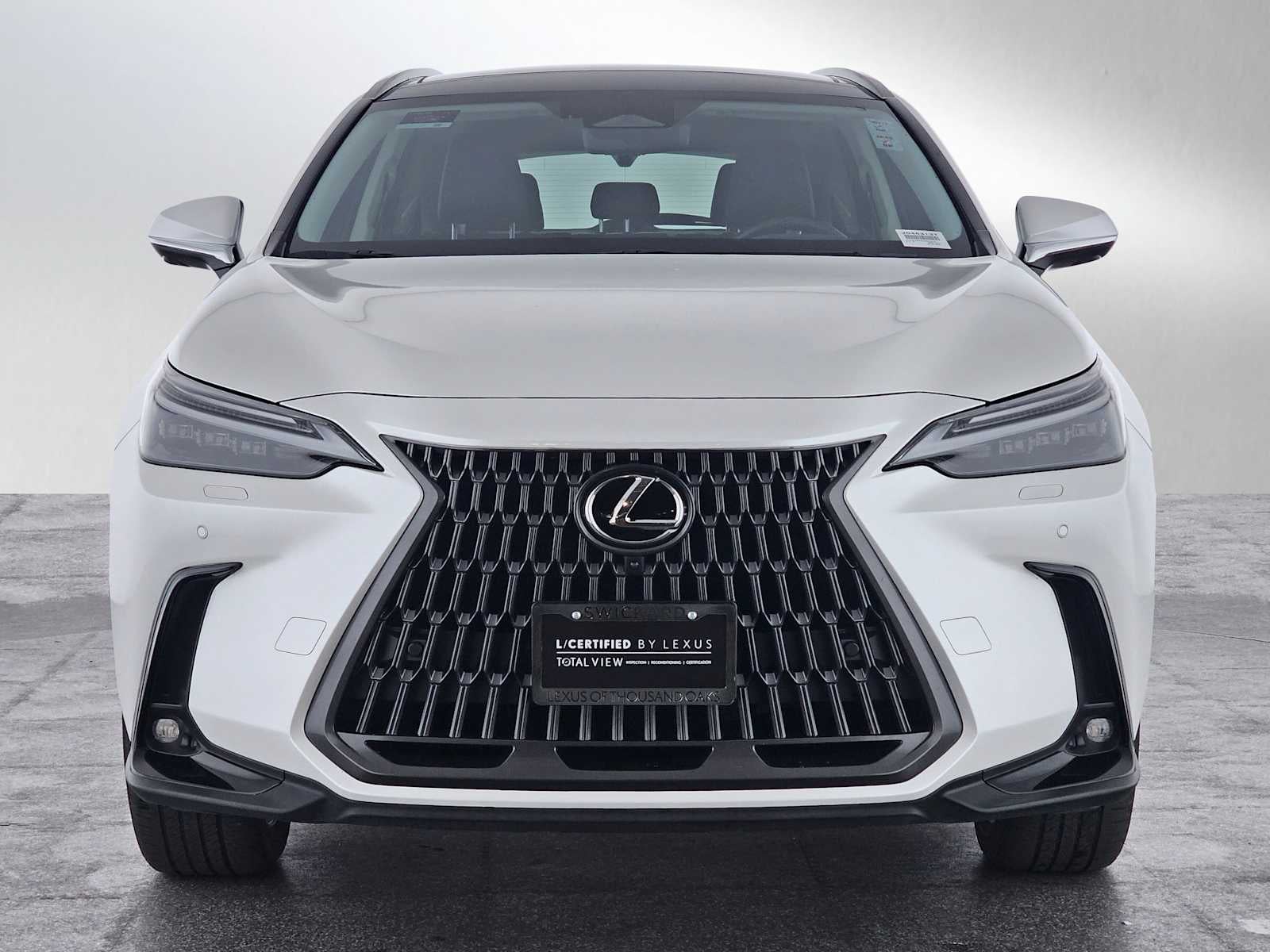 2025 Lexus NX Luxury