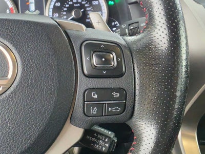 2019 Lexus NX 300 F SPORT