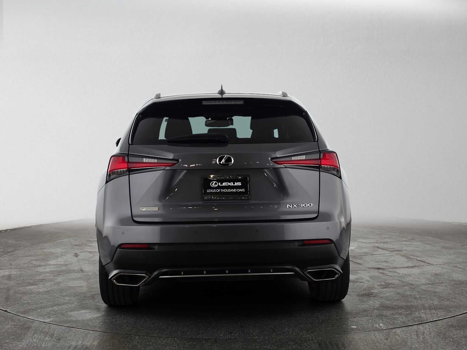 2019 Lexus NX 300 F SPORT
