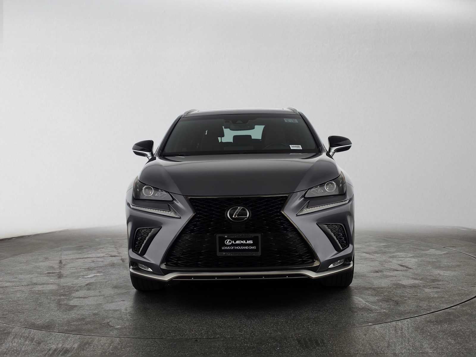 2019 Lexus NX 300 F SPORT